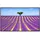 Papermoon Infrarotheizung Lavendel in der Provence 600 W Weiß