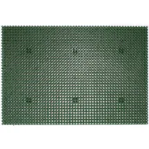 Astra Fußmatte Season 40 x 60 cm Grün