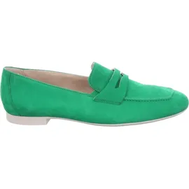 Paul Green 2954 grün 6,5