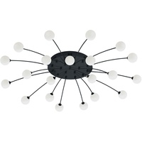Trio Lighting LED-Deckenlampe Bullet, 21-flammig, schwarz/weiß