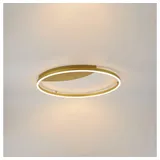 s.LUCE LED Ring Wandlampe & Deckenleuchte Dimmbar modern rund