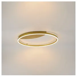 s.LUCE LED Ring Wandlampe & Deckenleuchte Dimmbar modern rund