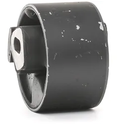 TEDGUM Halter, Motoraufhängung CHRYSLER,DODGE 00137940 04861314AA,04743556A