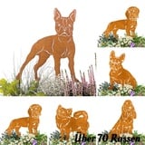 Terma Stahldesign Edelrost Hund Verschiedene Rassen, Handmade Germany, tolle gartendeko aus Rost-Metall, deko rostoptik, Rostfiguren Tiere, rostfiguren Garten, Rostdeko (Boston Terrier)