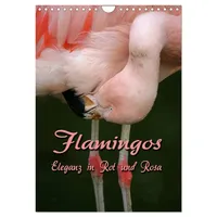 Calvendo Flamingos - Eleganz in Rot und Rosa (Wandkalender
