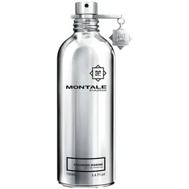 Montale Fougeres Marine Eau de Parfum 100 ml
