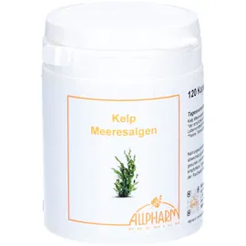 Allpharm Kelp Meeresalgen Allpharm Premium