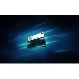 Kingston DC3000ME PCIe 5.0 NVMe U.2 SSD 7.68TB, U.2 / PCIe 5.0 x4 (SEDC3000ME/7T6)