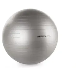 Govital Gymnastikball Grau Modell Aktion