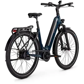 Kalkhoff Image 5+ Exite Benelux 2025 29 Zoll RH 43 cm Damen grün