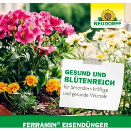 NEUDORFF Eisendünger 250 ml