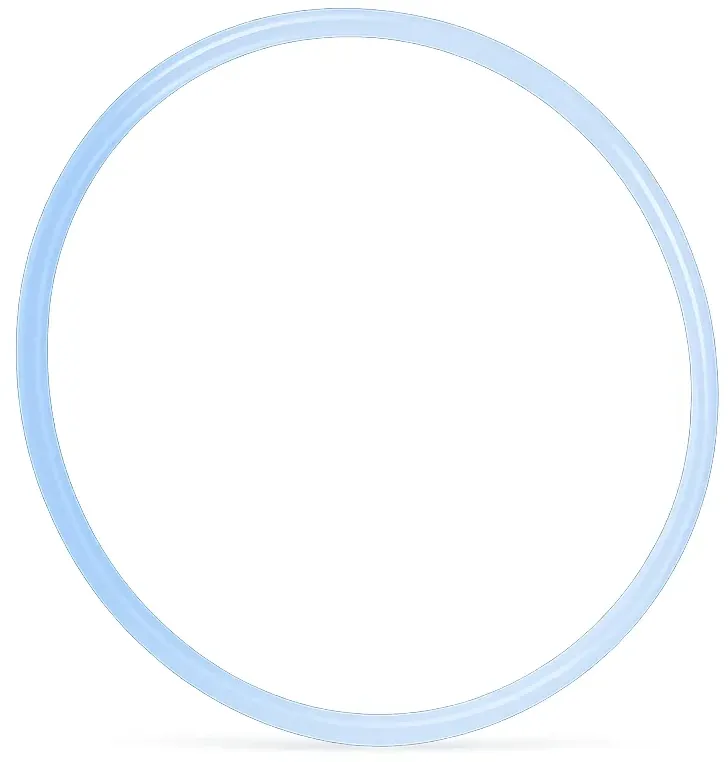 Dichtungsring O-Ring