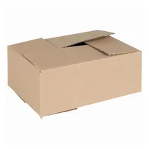 vidaXL Faltbox Mit Speicher 50 Pcs Braun 25 X 17.5 X 10 Cm Karton Vidaxl