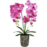 GreenBrokers Künstliche Orchidee im Topf, 70 cm, Rosa