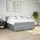 vidaXL Boxspringbett 180 x 200 cm Hellgrau