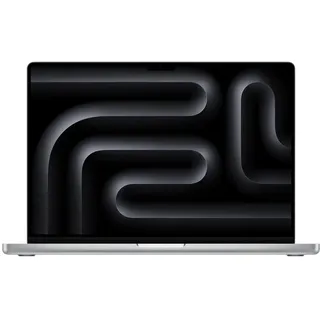 2024 M4 Max 48 GB RAM 1 TB SSD 40-Core GPU Silber