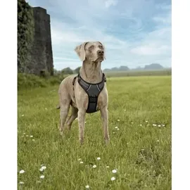 LIONTO Hundegeschirr Schwarz XL
