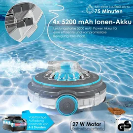 Kesser Poolroboter Aqua-9000 Anthrazit/Türkis inkl. Transporttasche