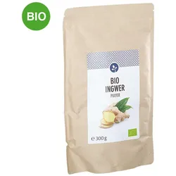 Ingwer Pulver Bio