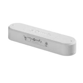SOMFY Eolis 3D WireFree io Windsensor grau/weiß