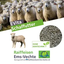 EVita Schaffutter 20 kg Pellets für Schafe & Ziegen ohne Gentechnik