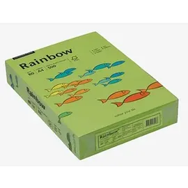 Papyrus Rainbow A4 80 g/m2 500 Blatt