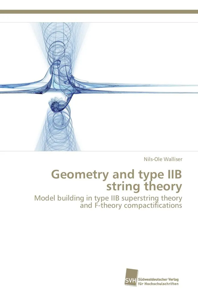 Geometry and type IIB string theory: Buch von Nils-Ole Walliser