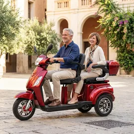 ECONELO E-Seniorenmobil Billy 2.0 3-Rad 1000 Watt Rot/Grau