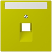 Jung Abdeckung für IAE/UAE LC 969-1 NAUA 249