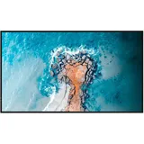 Hisense Signage Display 55DM66D 55" schwarz