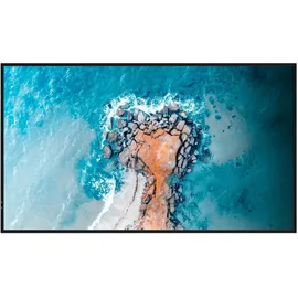 Hisense Signage Display 55DM66D 55" schwarz