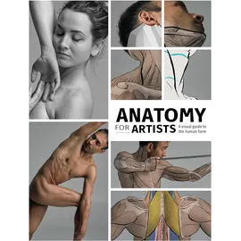 3dtotal Publishing Anatomy for Artists: A visual guide to the human form