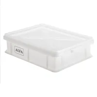 Alfa Forni Teig Box 40 x 30 cm Kunststoff