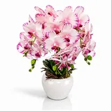 Kunstorchidee PASCH® Orchidee künstlich wie echt in Hochglanz-Keramiktopf Orchidee, PASCH, Hochglanz Keramiktopf