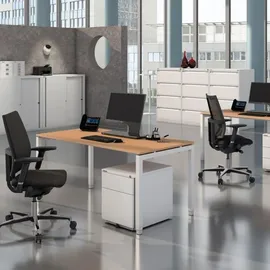 BISLEY Schreibtisch Cito Ahorn