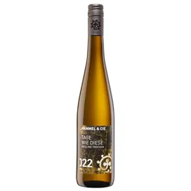 Weingut Hammel & Cie Hammel & Cie Tage wie diese Riesling trocken Weingut