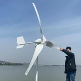 3000W Windkraftanlage Windgenerator 24V 48V 96V Permanentmagnet Generator Windturbine für Hausgebrauch Gartenboot Straßenlaterne Windenergie (48v Windkraftanlage Nur)