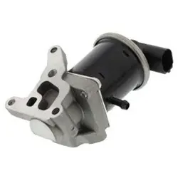 MAGNETI MARELLI AGR-Ventil  für VW SEAT STANDARD AUTOMOBILE 030131503F 14376 030131503C 571822112068