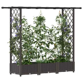 vidaXL Hochbeet mit Rankgitter und Dach 164 x 40 x 123 cm Braun
