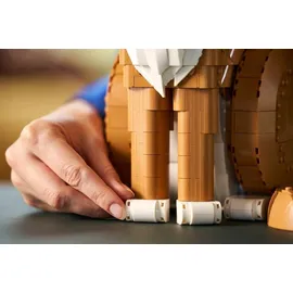LEGO Ideas Orangefarbene Katze 21376