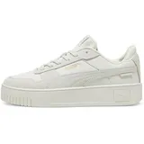 Vapor Gray / Vapor Gray / Puma Gold 42,5