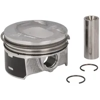 Mahle 028 PI 00118 002