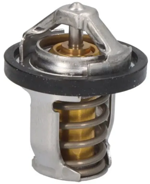 Thermostat TOURMAX TMT-306