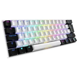 Sharkoon SGK50 S4 - Tastatur - Hintergrundbeleuchtung