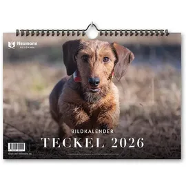 j. neumann-neudamm melsungen Teckel 2026