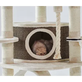 Nobby Elif Kratzbaum 70 x 70 x 189 cm creme