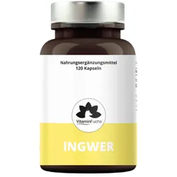 Ingwer Plus Kapseln - VitaminFuchs