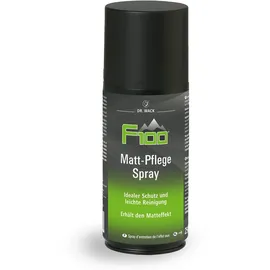 F100 Dr. Wack F100 Matt-Pflege Spray 2 St. 250 ml