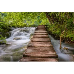 Fototapete PAPERMOON "Waldbrücke über Fluss", bunt, B:4,00m L:2,60m, Vlies, Tapeten