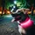 petsation Leuchthalsband Hundehalsband Pink M